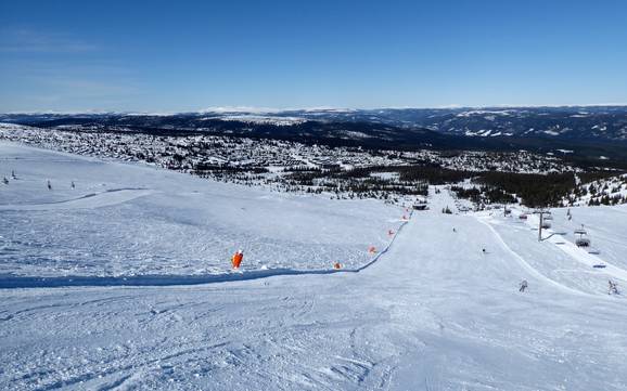 Skifahren in Hedmark