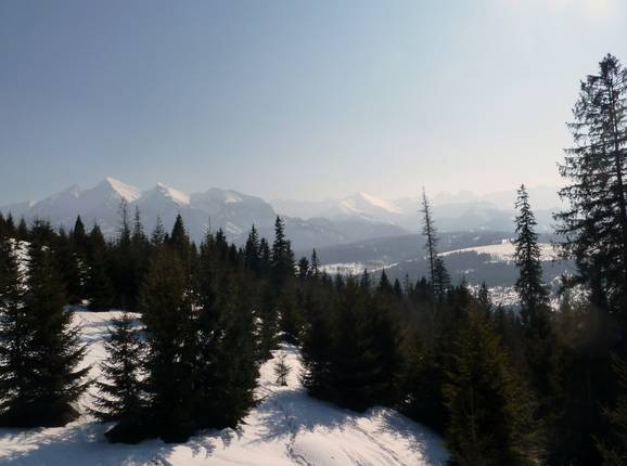 Blick auf die Hohe Tatra von Jurgów aus
