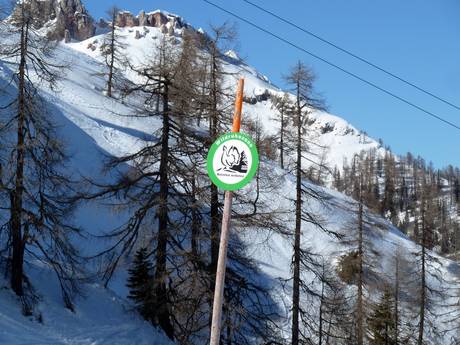 Karnischer Hauptkamm: Umweltfreundlichkeit der Skigebiete – Umweltfreundlichkeit Nassfeld – Hermagor