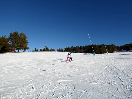 Skigebiete für Anfänger in Katalonien – Anfänger La Molina/Masella – Alp2500