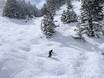 Skigebiete für Könner und Freeriding Salt Lake City – Könner, Freerider Solitude