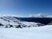 Snowy Mountains: Größe der Skigebiete – Größe Thredbo