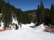 Sehr leichte Piste Ski road №2