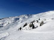 Blick auf die breiten Pisten im Skigebiet Rosskopf