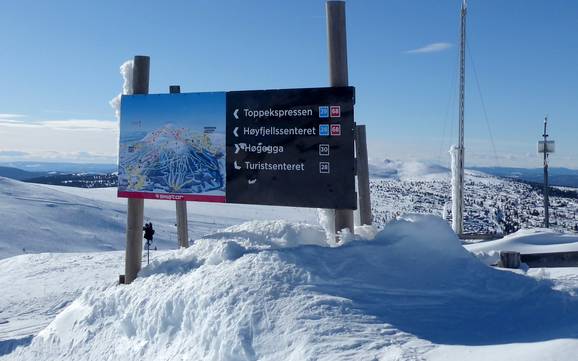 Hedmark: Orientierung in Skigebieten – Orientierung Trysil