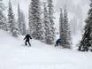 Skigebiete für Könner und Freeriding Mountain States – Könner, Freerider Snowbasin