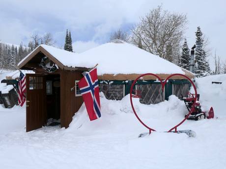 Viking Yurt