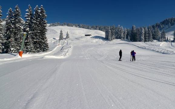 Skigebiete für Anfänger in Bodensee-Vorarlberg – Anfänger Laterns – Gapfohl