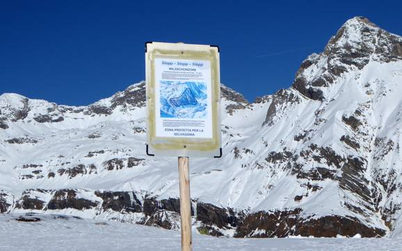 Viamala: Umweltfreundlichkeit der Skigebiete – Umweltfreundlichkeit Splügen – Tambo