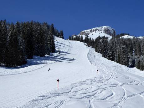 Skigebiete für Könner und Freeriding Kleinwalsertal – Könner, Freerider Ifen