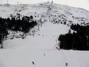 Die Piste Stelle Alpina in Bormio 2000