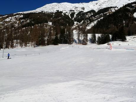 Skigebiete für Anfänger im Val Bernina – Anfänger Languard – Pontresina