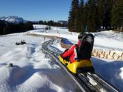 Tipp für die Kleinen  - Timoks Alpine Coaster (Fieberbrunn)