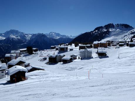 Berner Alpen: Umweltfreundlichkeit der Skigebiete – Umweltfreundlichkeit Aletsch Arena – Riederalp/Bettmeralp/Fiesch Eggishorn