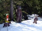Auf dem Winterwanderweg grüßen Tiere des Alpenraums. 