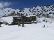 Snowpine Lodge