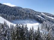 Speicherteich in Skigebiet Alpe Cermis