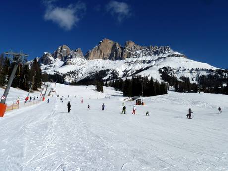 Skigebiete für Anfänger im Val di Fassa (Fassatal) – Anfänger Carezza