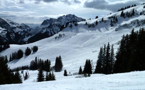 Größter Höhenunterschied im Tannheimer Tal – Skigebiet Neunerköpfle – Tannheim