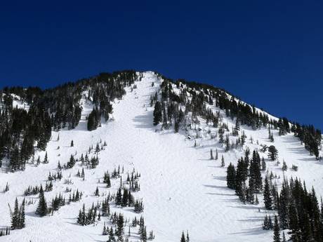 Skigebiete für Könner und Freeriding Mountain States – Könner, Freerider Alta