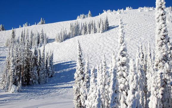 Skigebiete für Könner und Freeriding Thompson-Nicola – Könner, Freerider Sun Peaks