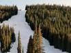 Skigebiete für Könner und Freeriding Front Range – Könner, Freerider Loveland