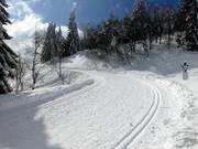 Der Fernskiwanderweg Schonach-Belchen führt direkt durch das Skigebiet.