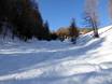 Skigebiete für Könner und Freeriding Skirama Dolomiti – Könner, Freerider Pejo 3000