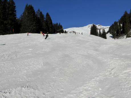 Skigebiete für Anfänger in den Urner Alpen – Anfänger Meiringen-Hasliberg