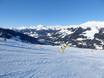 Salzachtal: Größe der Skigebiete – Größe Zillertal Arena – Zell am Ziller/Gerlos/Königsleiten/Hochkrimml