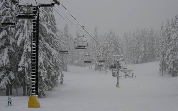 Höchstes Skigebiet am Mount Hood – Skigebiet Timberline