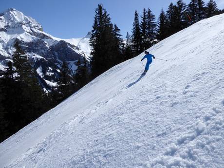Skigebiete für Könner und Freeriding Simmental – Könner, Freerider Adelboden/Lenk – Chuenisbärgli/Silleren/Hahnenmoos/Metsch