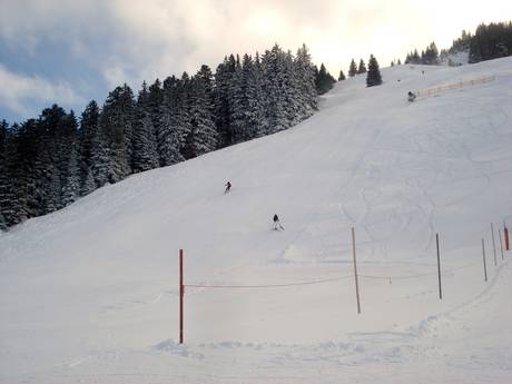 Skigebiete für Könner und Freeriding Tannheimer Tal – Könner, Freerider Jungholz