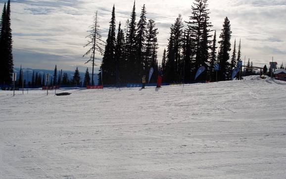 Skigebiete für Anfänger im North Okanagan Regional District – Anfänger Silver Star
