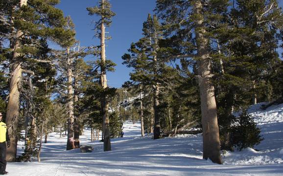 Skigebiete für Könner und Freeriding Carson Range – Könner, Freerider Heavenly