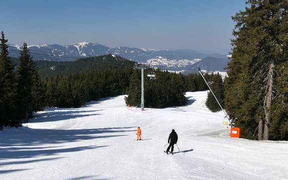 Bestes Skigebiet in der Oblast Smoljan – Testbericht Pamporovo