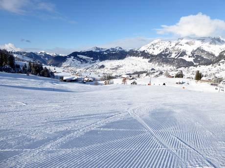 Skigebiete für Anfänger in den Appenzeller Alpen – Anfänger Wildhaus – Gamserrugg (Toggenburg)