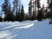 Langlauf Lappland (Finnland) – Langlauf Ylläs