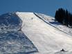 Skigebiete für Könner und Freeriding Kitzbüheler Alpen – Könner, Freerider St. Johann in Tirol/Oberndorf – Harschbichl