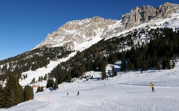 Höchstes Skigebiet in den Fleimstaler Alpen – Skigebiet Latemar – Obereggen/Pampeago/Predazzo