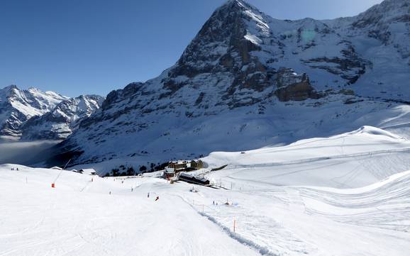 Größtes Skigebiet im Espace Mittelland – Skigebiet Kleine Scheidegg/Männlichen – Grindelwald/Wengen