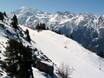 Mattertal: Testberichte von Skigebieten – Testbericht Grächen