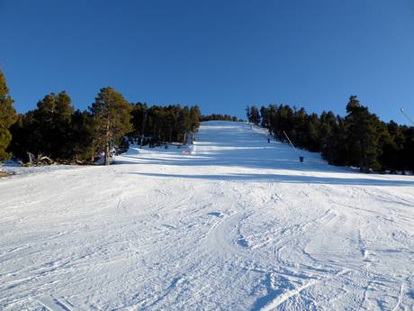 Skigebiete für Könner und Freeriding Katalonien – Könner, Freerider La Molina/Masella – Alp2500