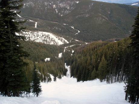 Skigebiete für Könner und Freeriding Columbia Mountains – Könner, Freerider Silver Star
