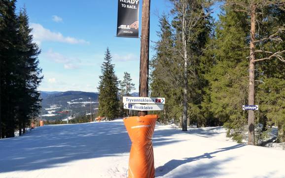 Oslo: Orientierung in Skigebieten – Orientierung Oslo – Tryvann (Skimore)