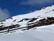 Rentiere am Pistenrand im Skigebiet Hemavan