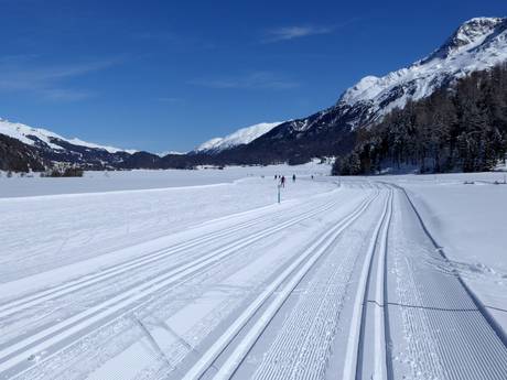 Langlauf Engadin St. Moritz – Langlauf Corvatsch/Furtschellas