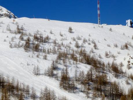 Skigebiete für Könner und Freeriding Alpes-Maritimes – Könner, Freerider Auron (Saint-Etienne-de-Tinée)
