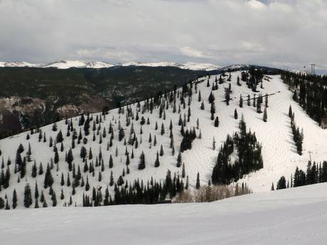 Skigebiete für Könner und Freeriding Sawatch Range – Könner, Freerider Aspen Mountain