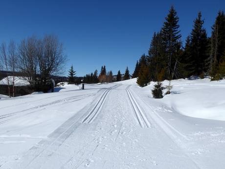 Langlauf Lillehammer – Langlauf Kvitfjell